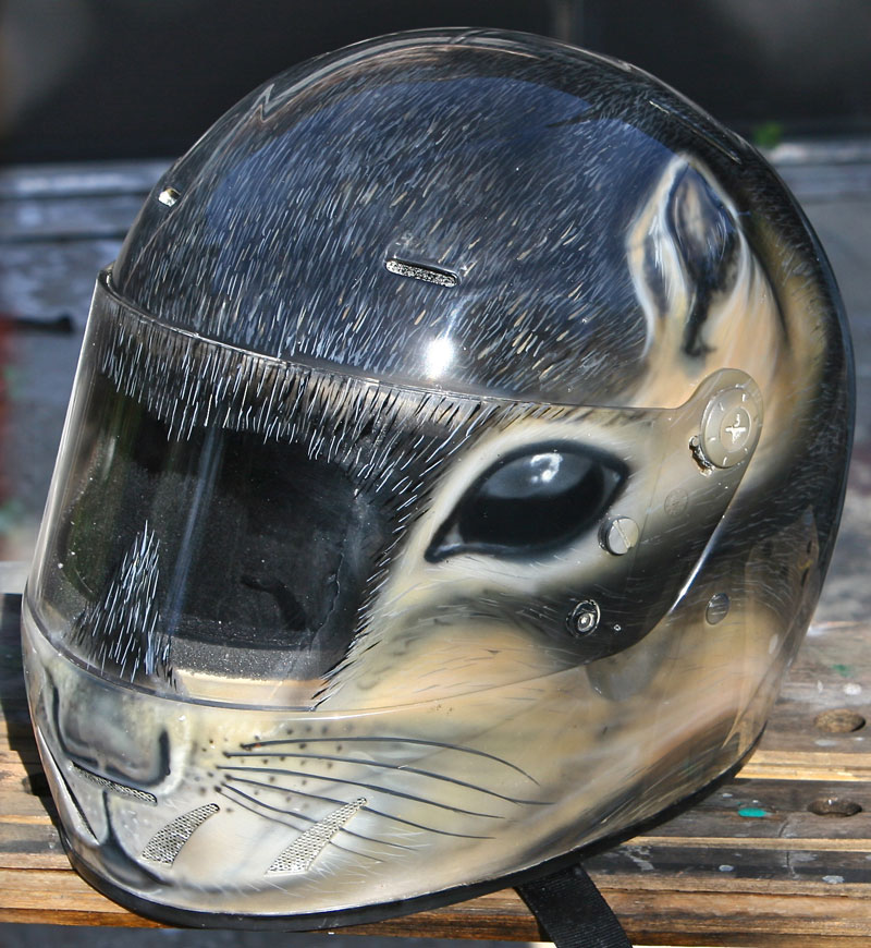 squirrel airbrushed helmet